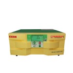 Exide Solar Hybrid 2200VA 24V Pure Sine Wave Inverter