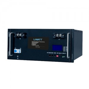 Liwatt 48V 100AH Lithium Battery